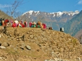 IMG_8752.jpg