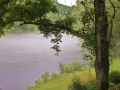 IMG_7533.JPG
